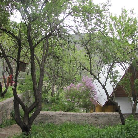 Refugio Coyoacan Βίλα Guayacan  Εξωτερικό φωτογραφία