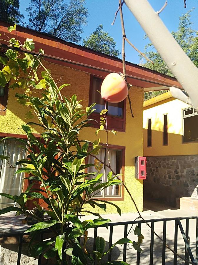 Refugio Coyoacan Βίλα Guayacan  Εξωτερικό φωτογραφία